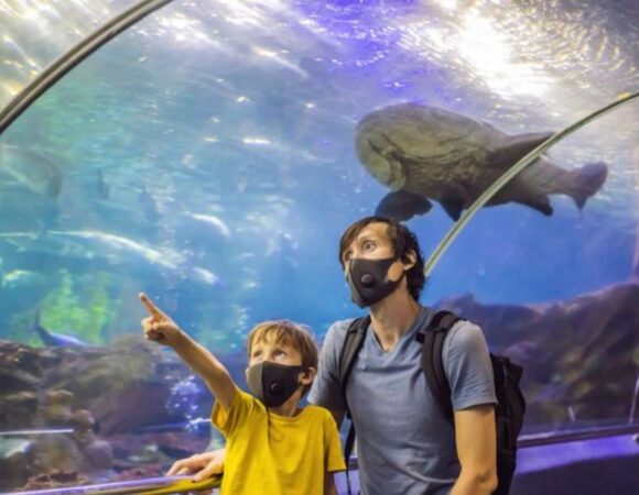 Six Tips for Getting the Most Out of Your Family’s Visit to SeaWorld Abu Dhabi