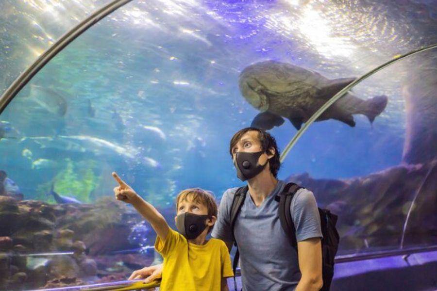 SeaWorld Abu Dhabi