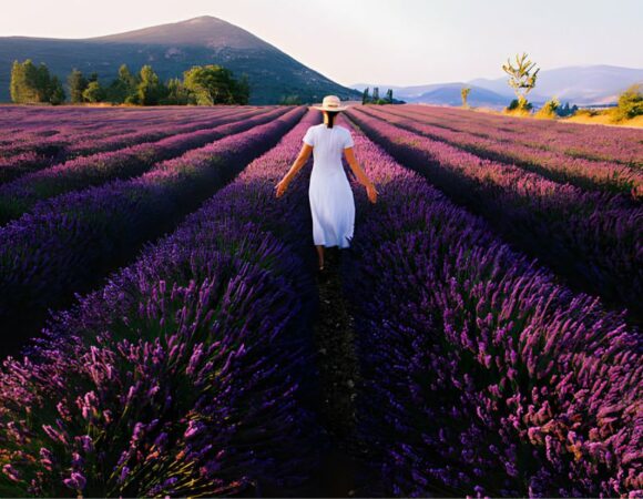 The top 5 good reasons to travel to France