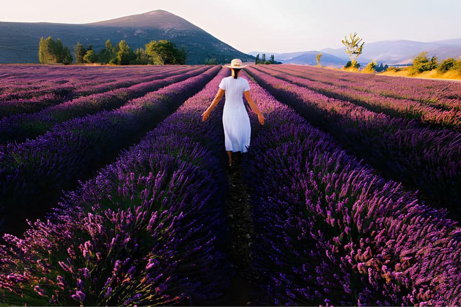 reasons to travel to France