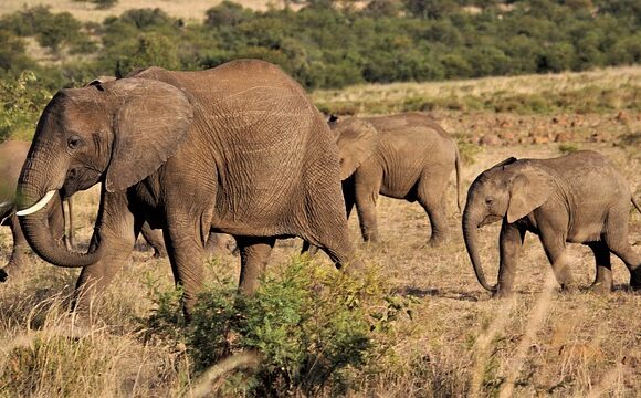 8 of the best tourist attractions to visit in South Africa