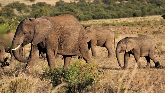 attractions to visit in South Africa