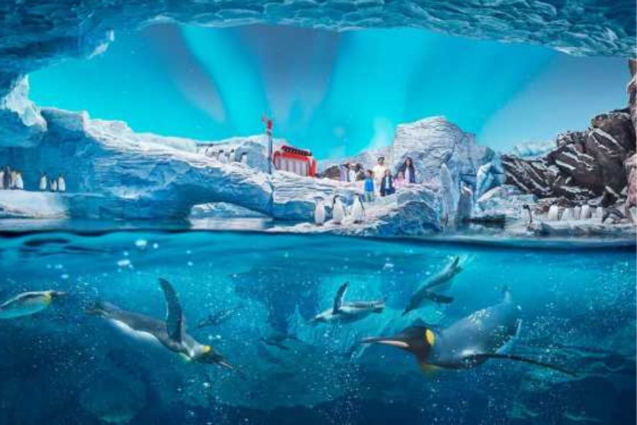 Experiences at Ferrari World Abu Dhabi