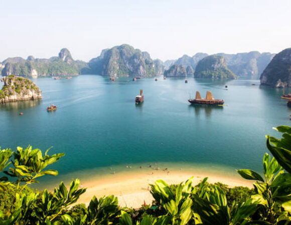 Discover Vietnam: A Cultural and Natural Odyssey 