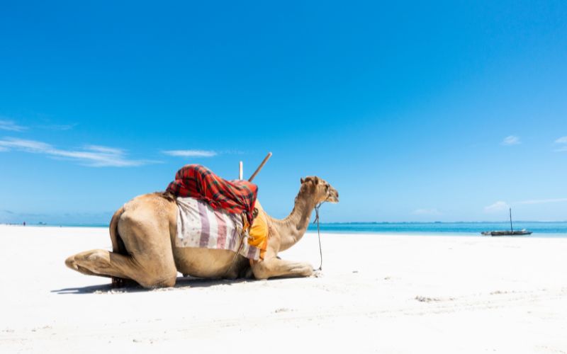 Beautiful Beaches in Kenya