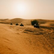 Warner Bros Abu Dhabi