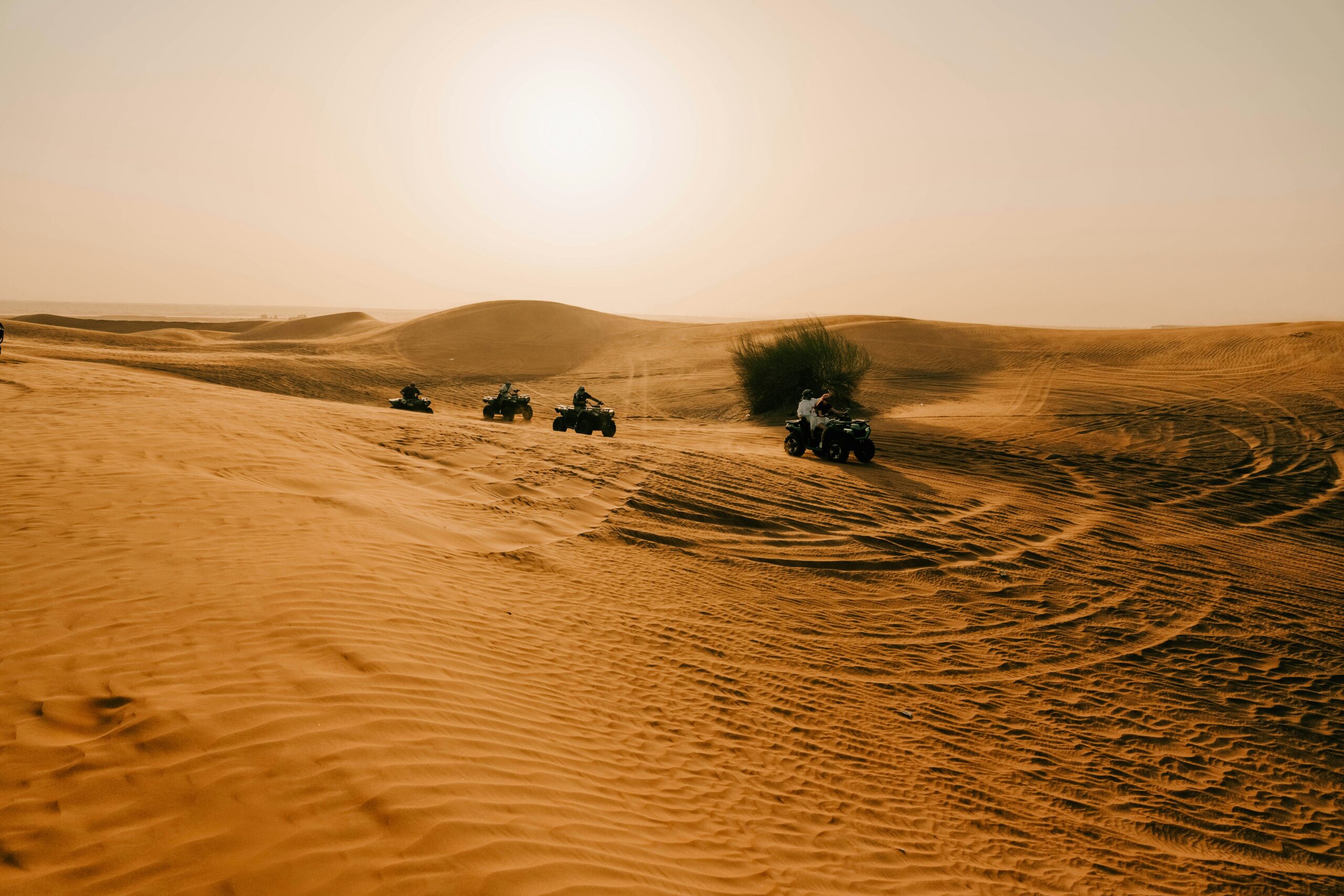 Warner Bros Abu Dhabi