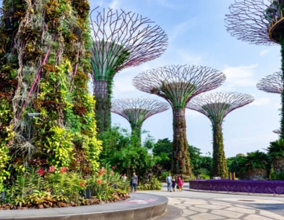 Top Free Attractions in Singapore