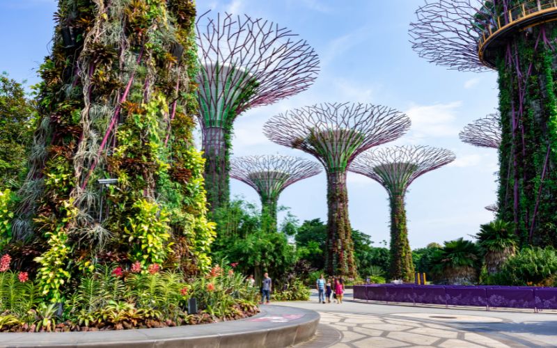 Top Free Attractions in Singapore