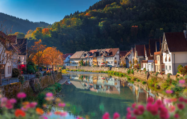 Black Forest trails Germany