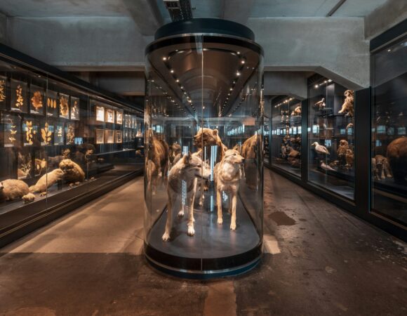 How to Save on Museum of the Future Tickets as a UAE Resident 