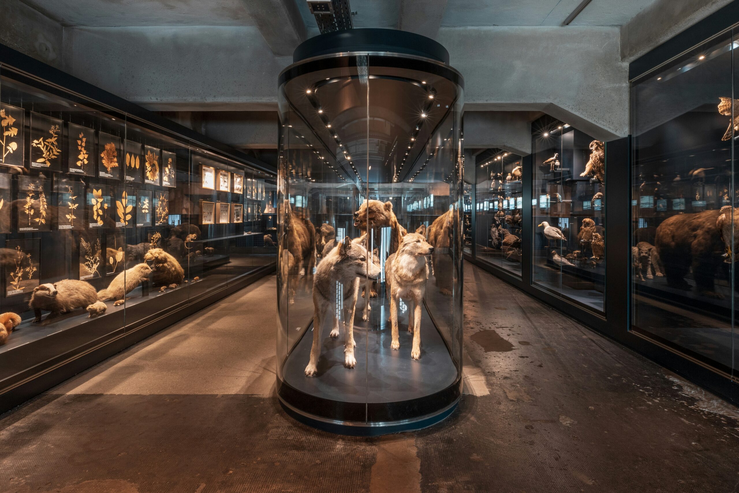 Save on Museum of the Future Tickets as a UAE Resident