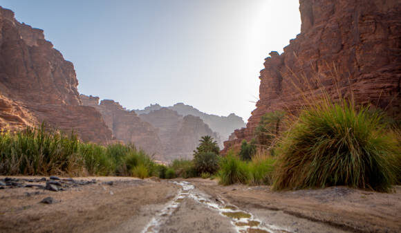 10 Historic Sites in Saudi Arabia You Shouldn’t Miss 