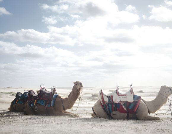 Best Buggy Rides in Dubai for Couples & Small Groups