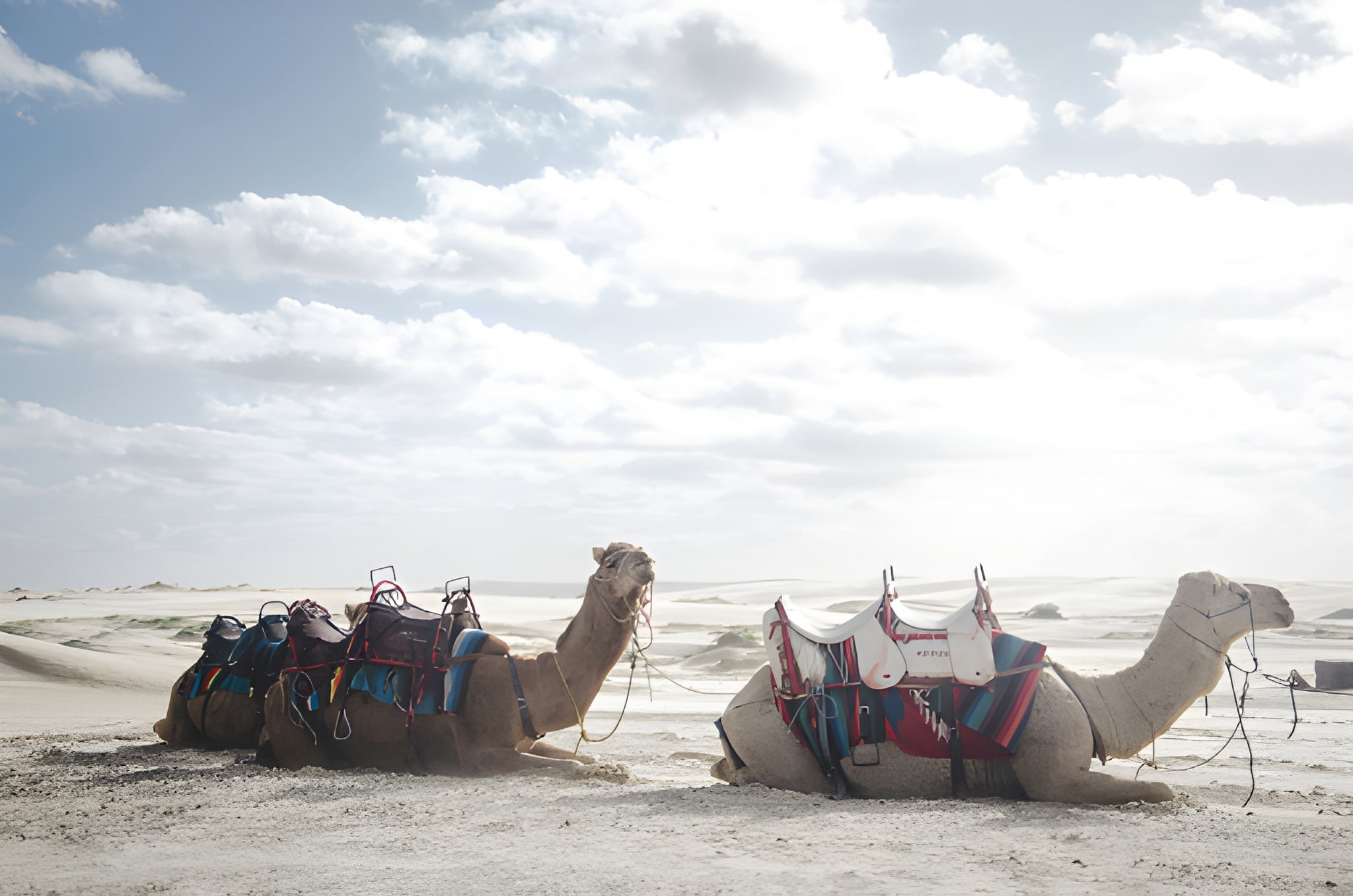 Best Buggy Rides in Dubai